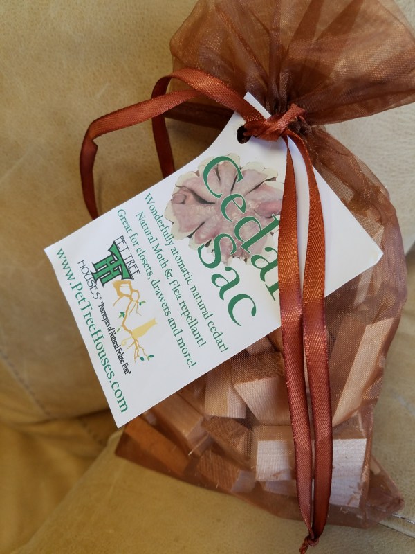 20171029_113841_resized